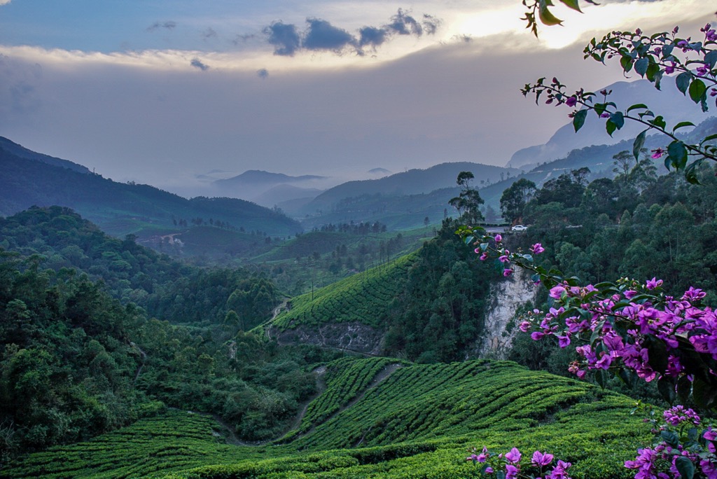 Anamudi, Western Ghats, India