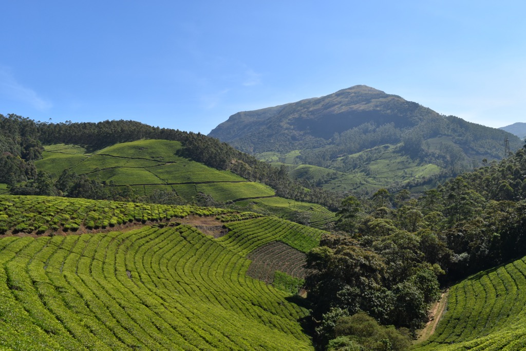 Anamudi, Western Ghats, India