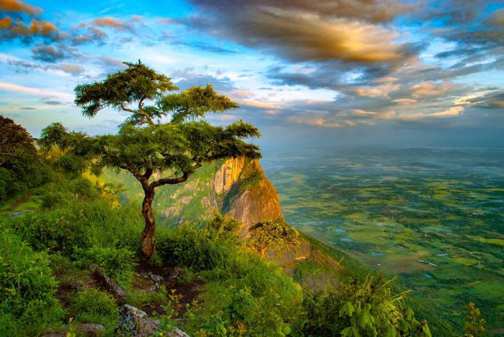 Kerala, Western Ghats, India