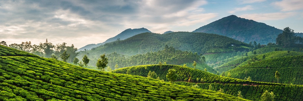 Kerala, Western Ghats, India