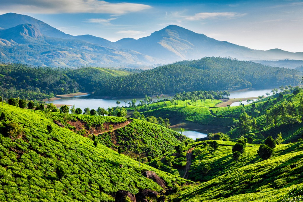Kerala, Western Ghats, India