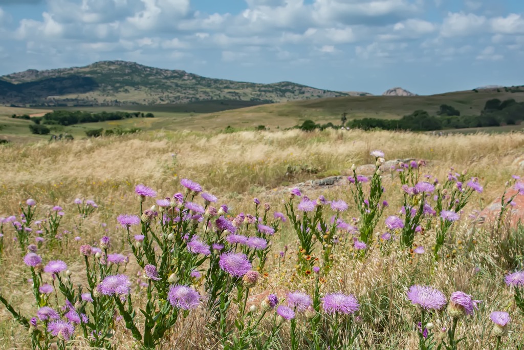 Wichita Mountains, Oklahoma