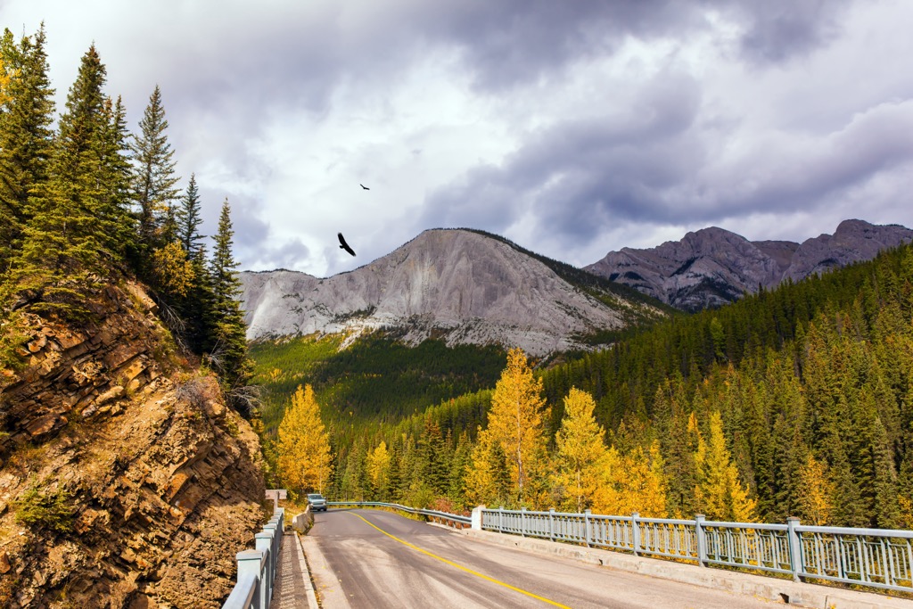 Yellowhead County, Alberta