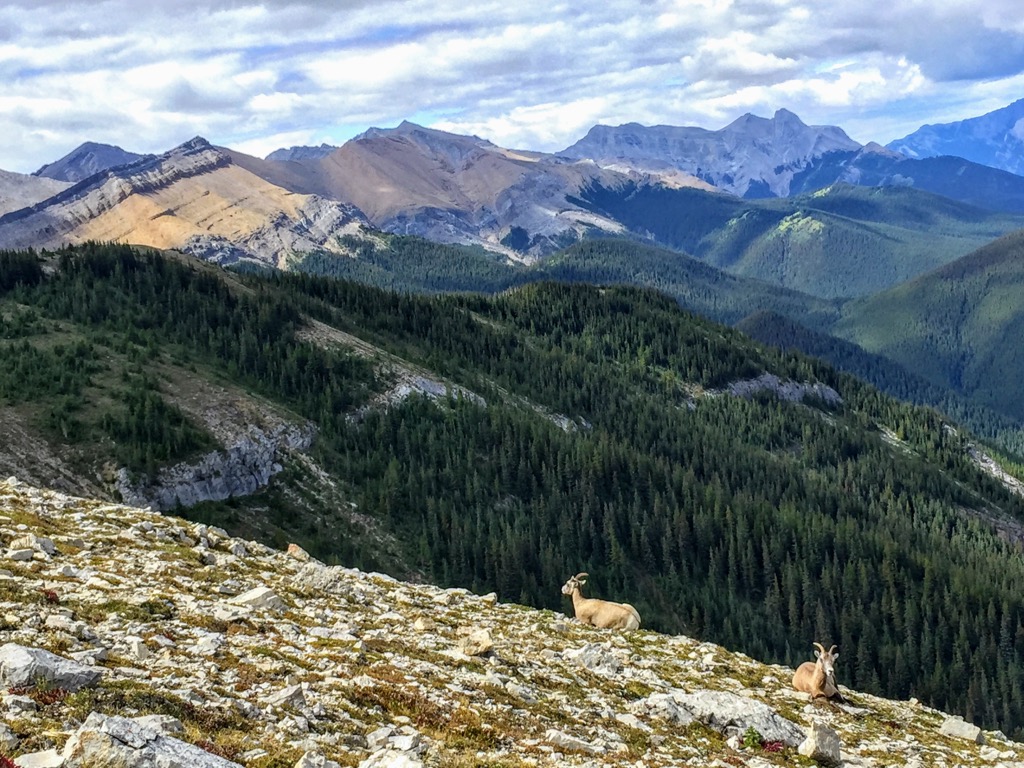 Yellowhead County, Alberta