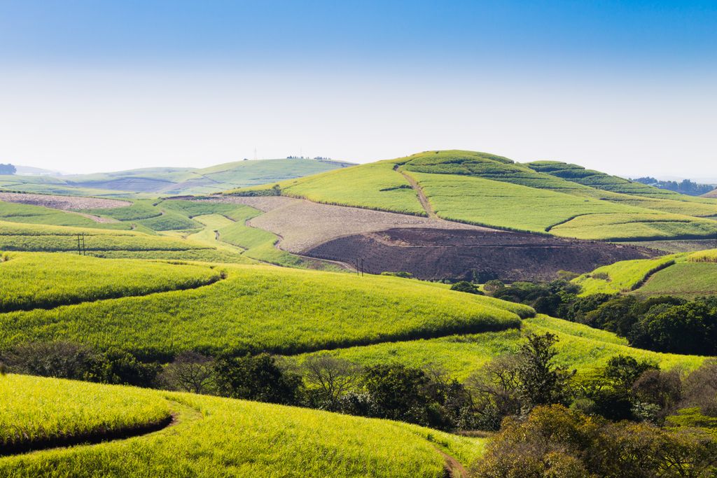 The valley of 1000 hills landscape. eThekwini Metropolitan Municipality