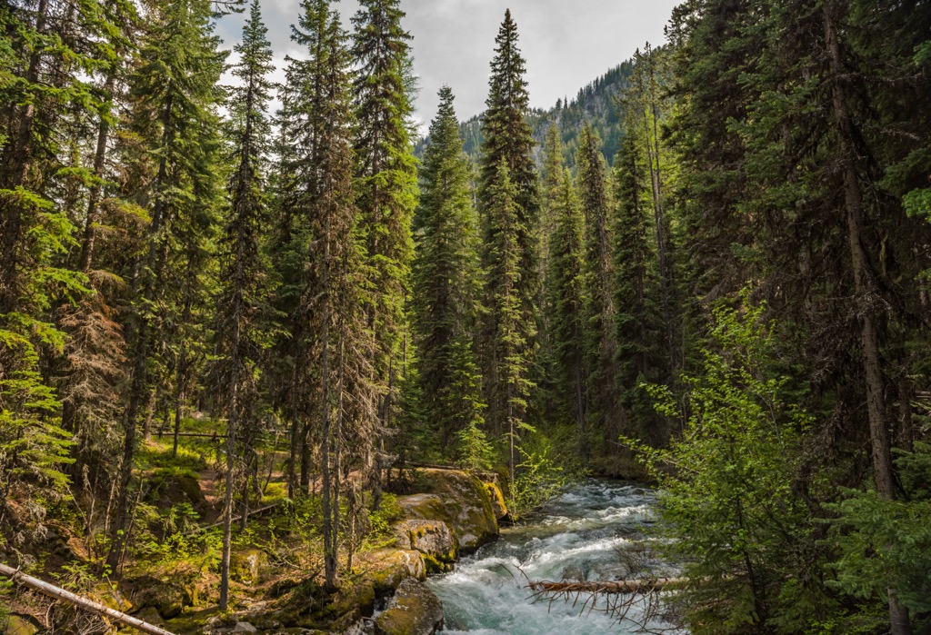 A Road Trip Around the Wilderness of Eastern Oregon