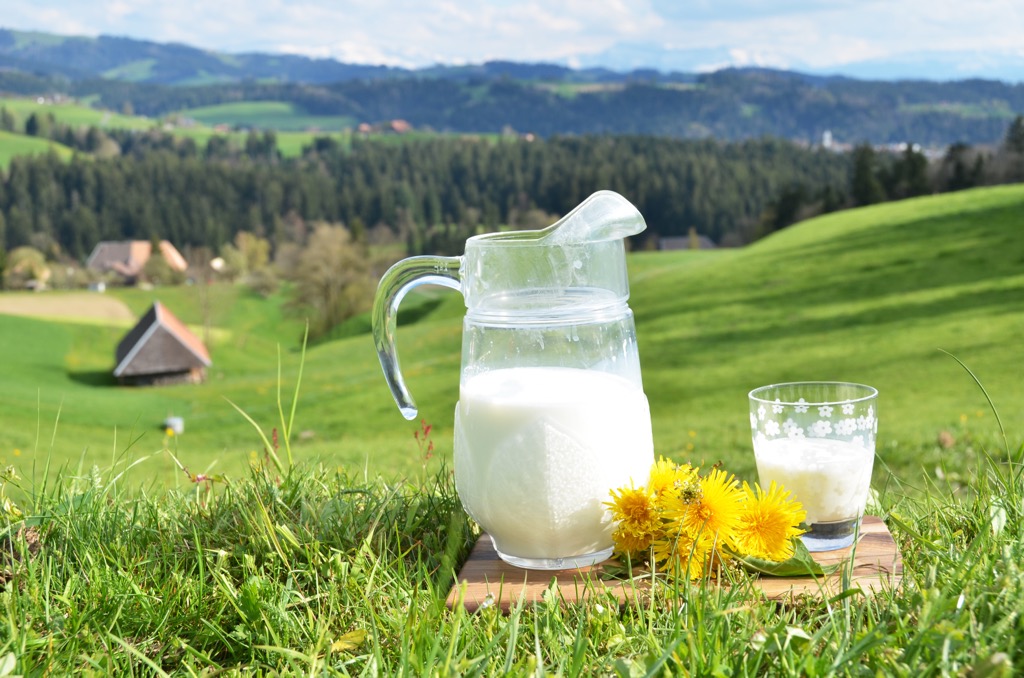 Food Culture Across the Alps