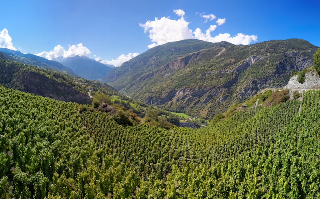 Food Culture Across the Alps
