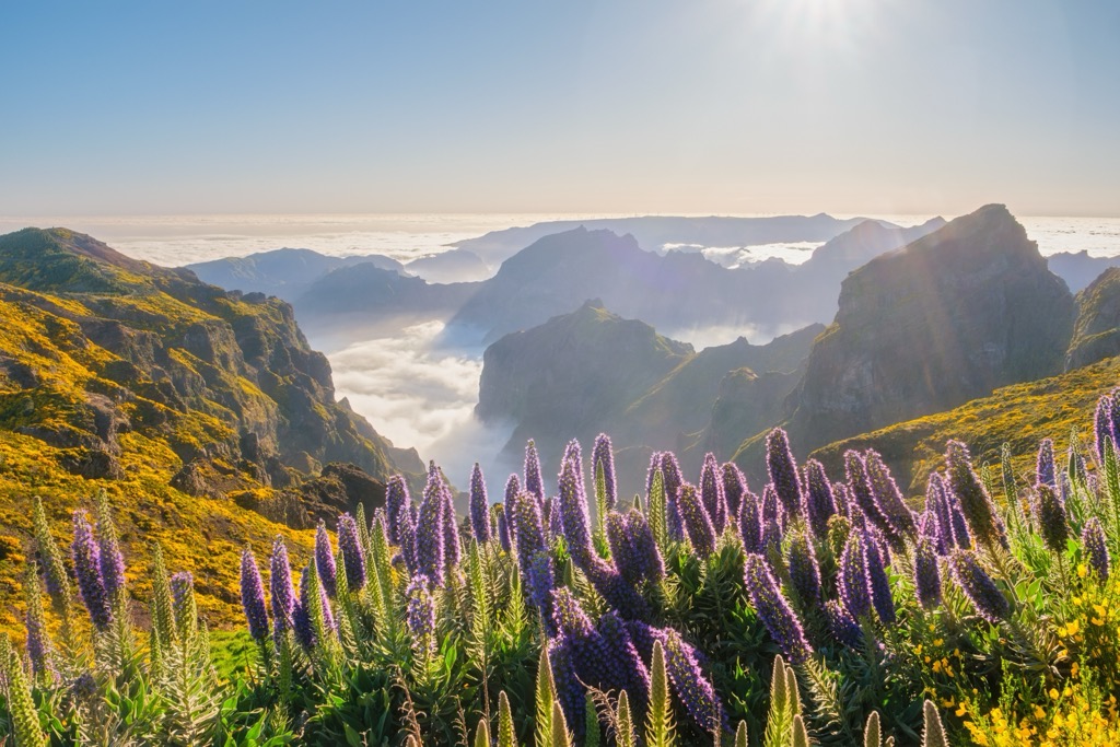 Gazing across Madeira from the Pico do Arieiro