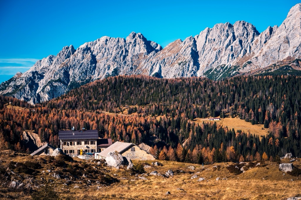 Autumn larch forests in the Carnic Alps on the Italy–Austria border