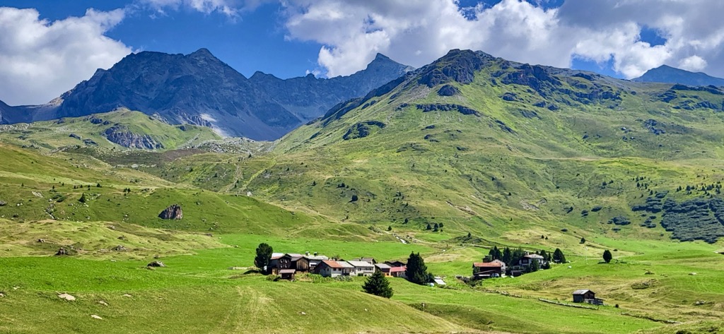 The pastures of Alp Flix