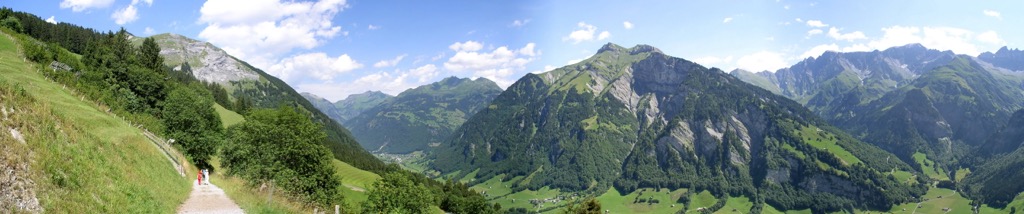 A panoramic view of Elm