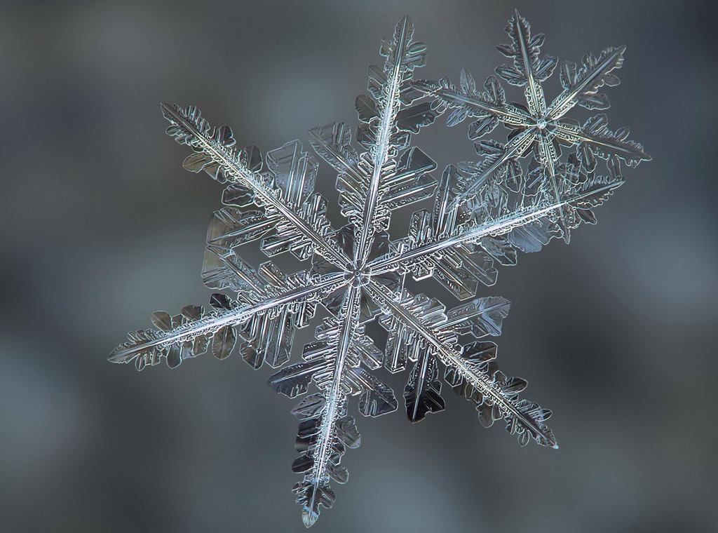 The Secrets to Finding the Best Snow Off-Piste. 
            A stellar dendrite showing beautiful crystal structure.