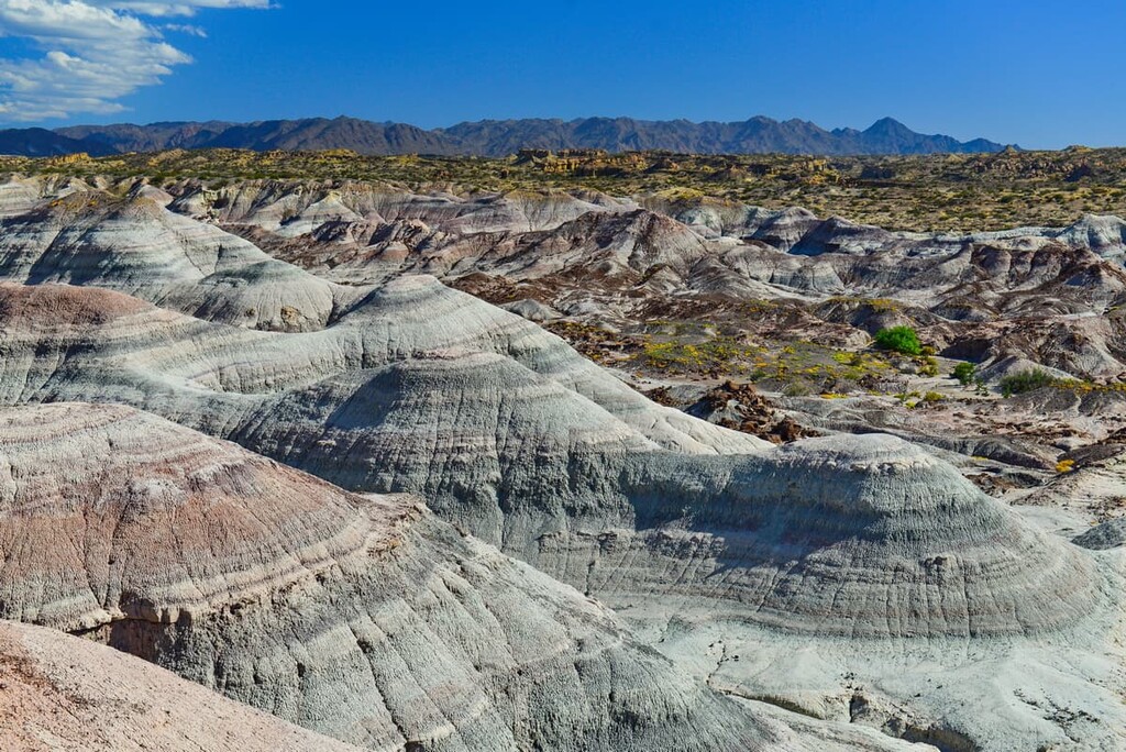 Ischigualasto Provincial Park, San Juan, Argentina