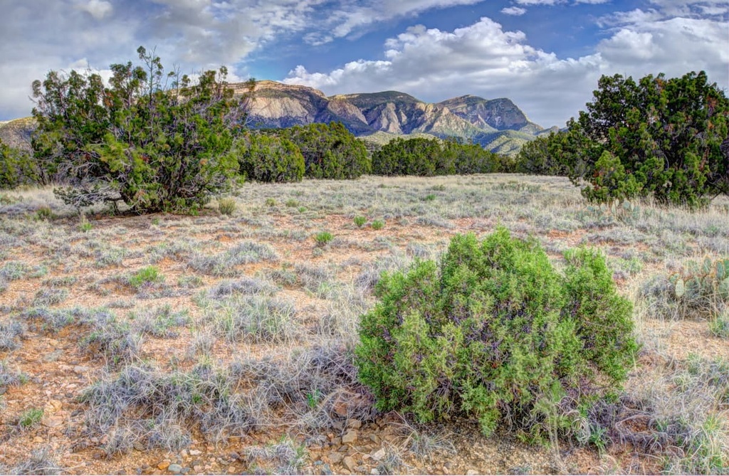 Sandia Mountains, New Mexico