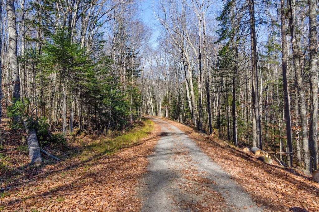 Santanoni Mountains, Adirondacks, New York