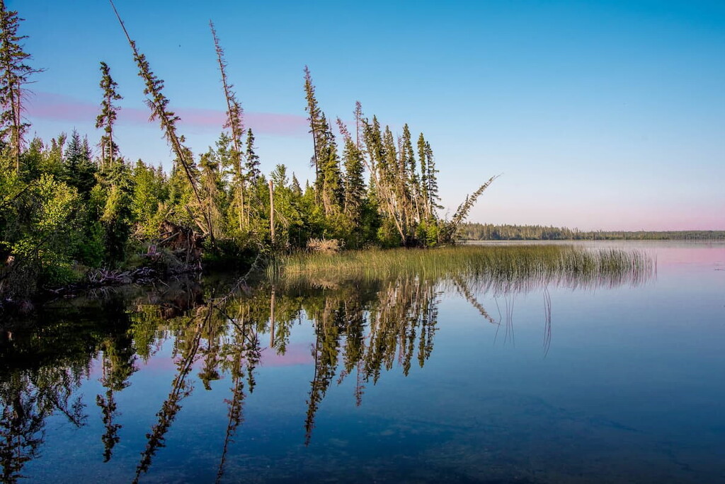 Boreal Plain, Saskatchewan