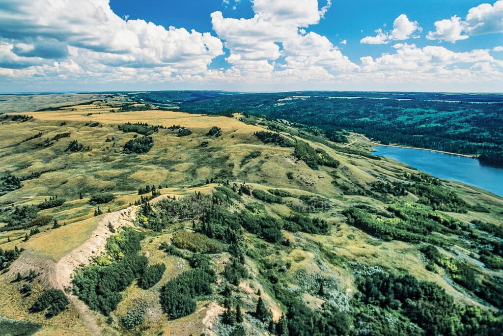 Cypress Hills Interprovincial Park, Saskatchewan