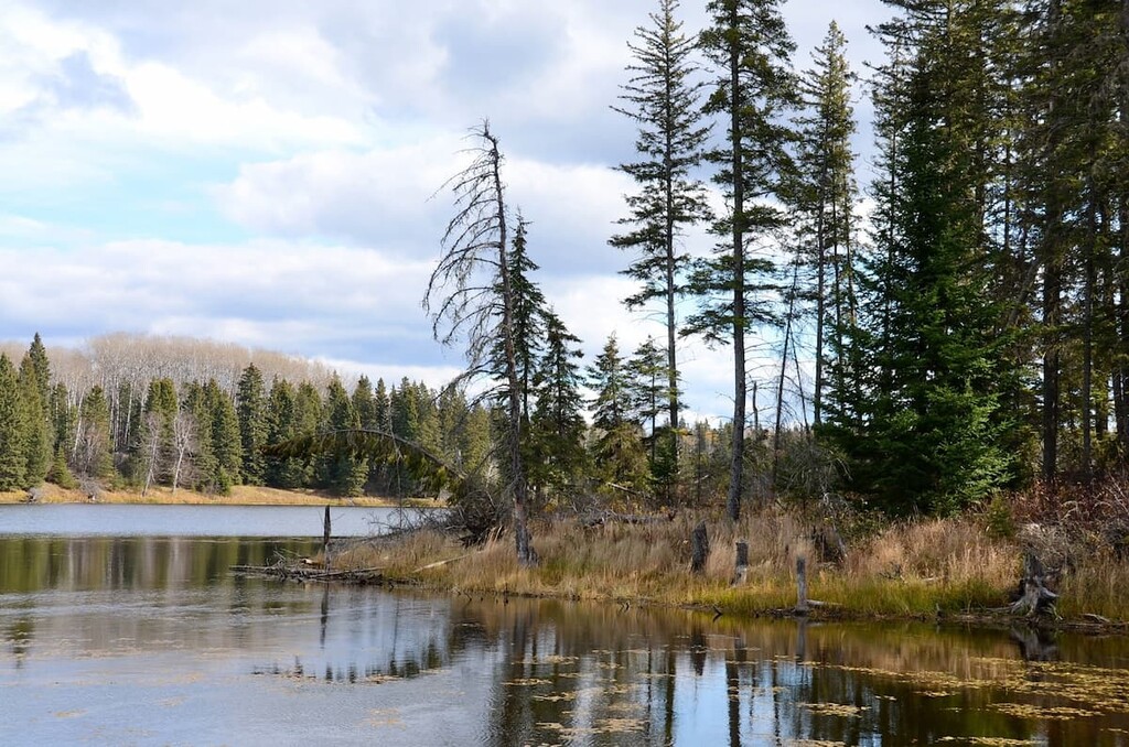Duck Mountain Provincial Park, Saskatchewan