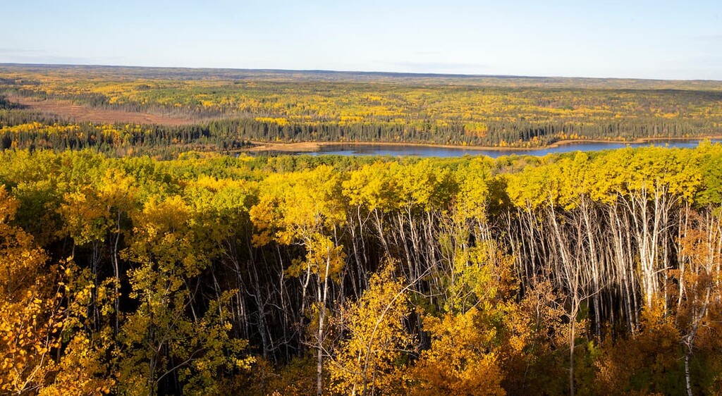 Panorama Fall Colors Prince Albert Natoinal Park, Saskatchewan