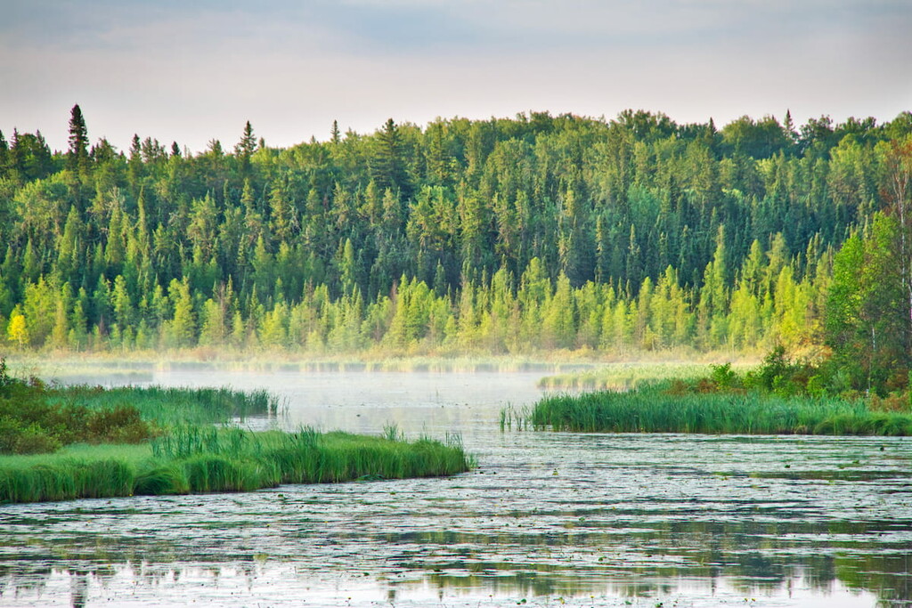 Prince Albert National Park, Saskatchewan