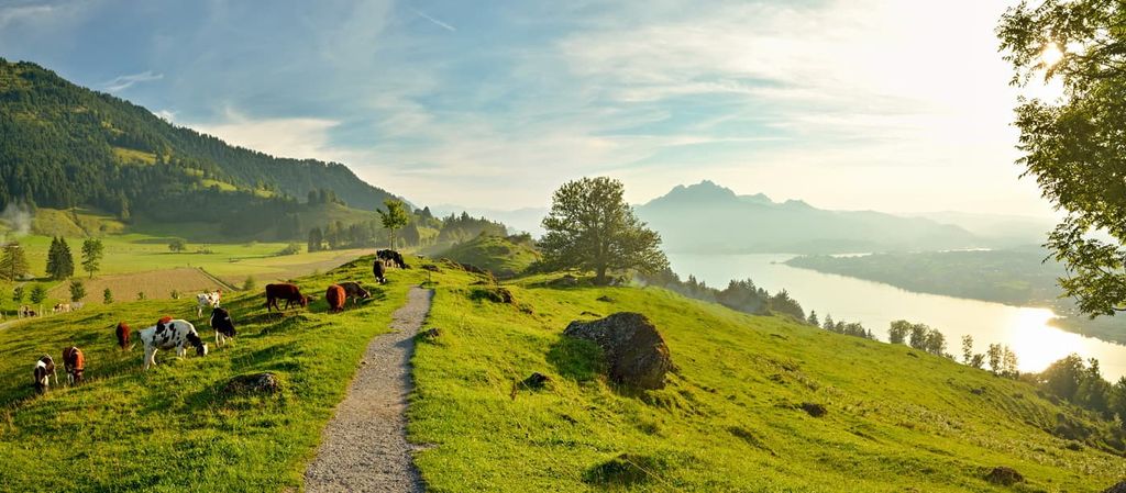 Seebodenalp, Schwyz, Switzerland