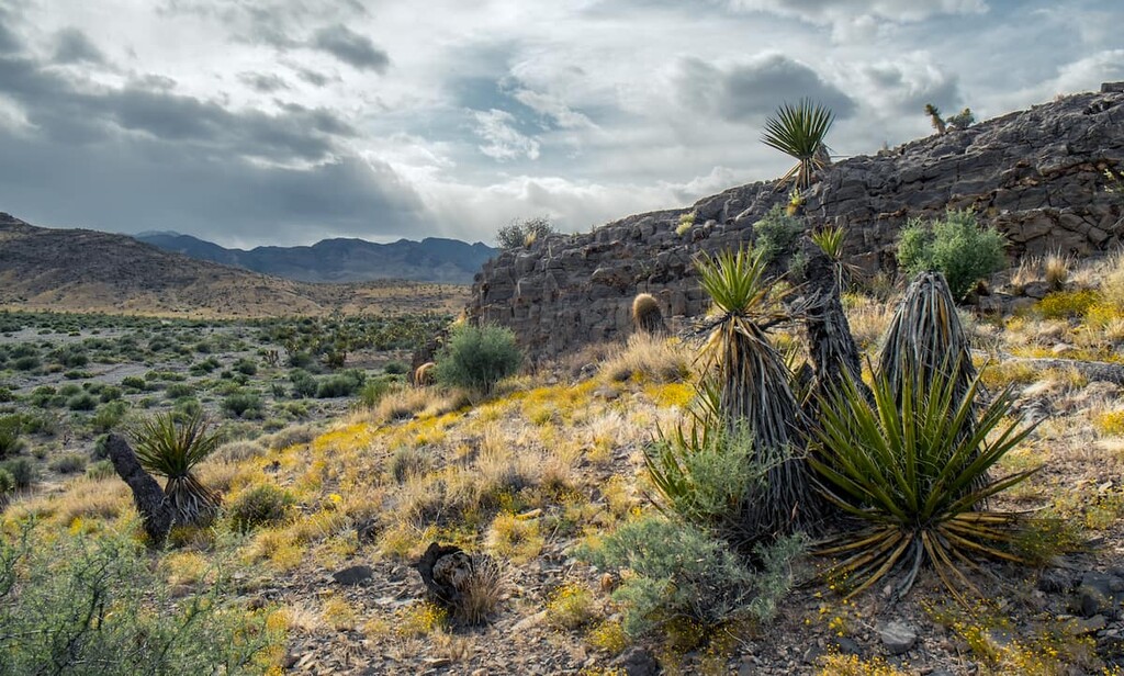 Sheep Range, Nevada