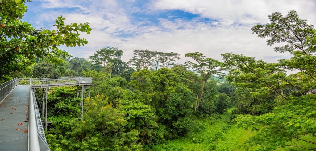 Southern Ridges, Singapore