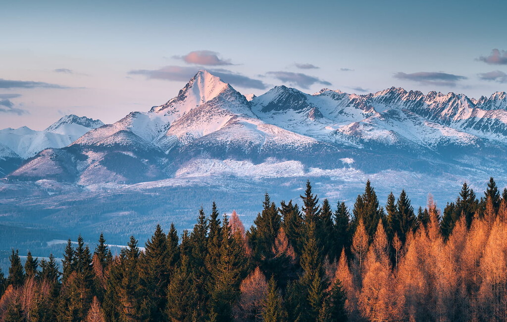 Mountain forest panorama Slovakia
