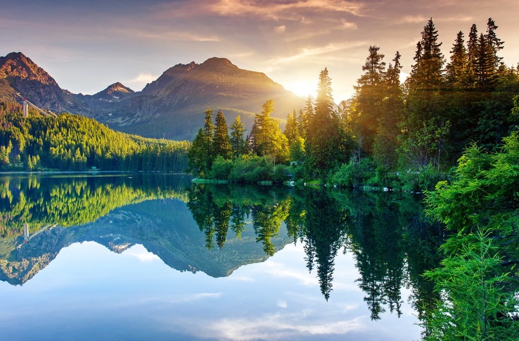 Tatras forest, Mountain , Slovakia