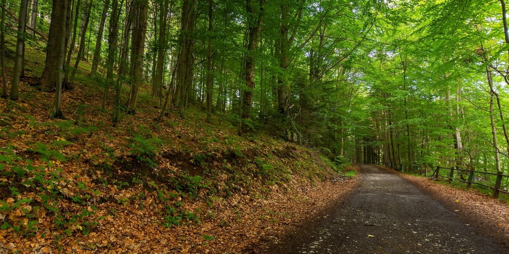 Vihorlat natural park, Slovakia
