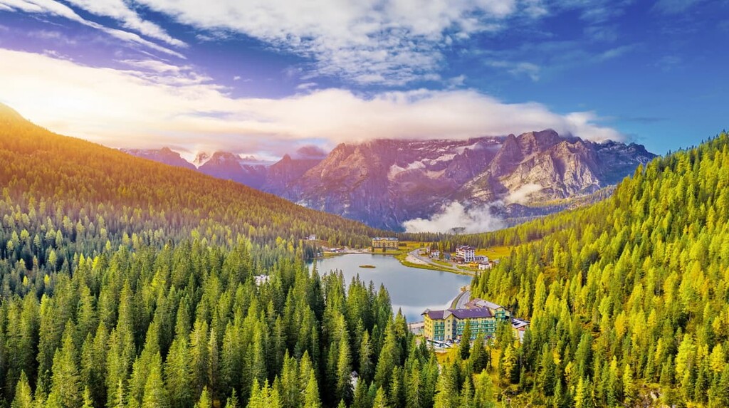 forest, Sorapiss Group, Italy