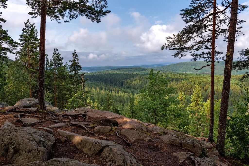 Kammiovuori, Southern Finland