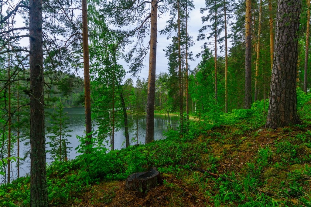 Southern Savonia, Finland