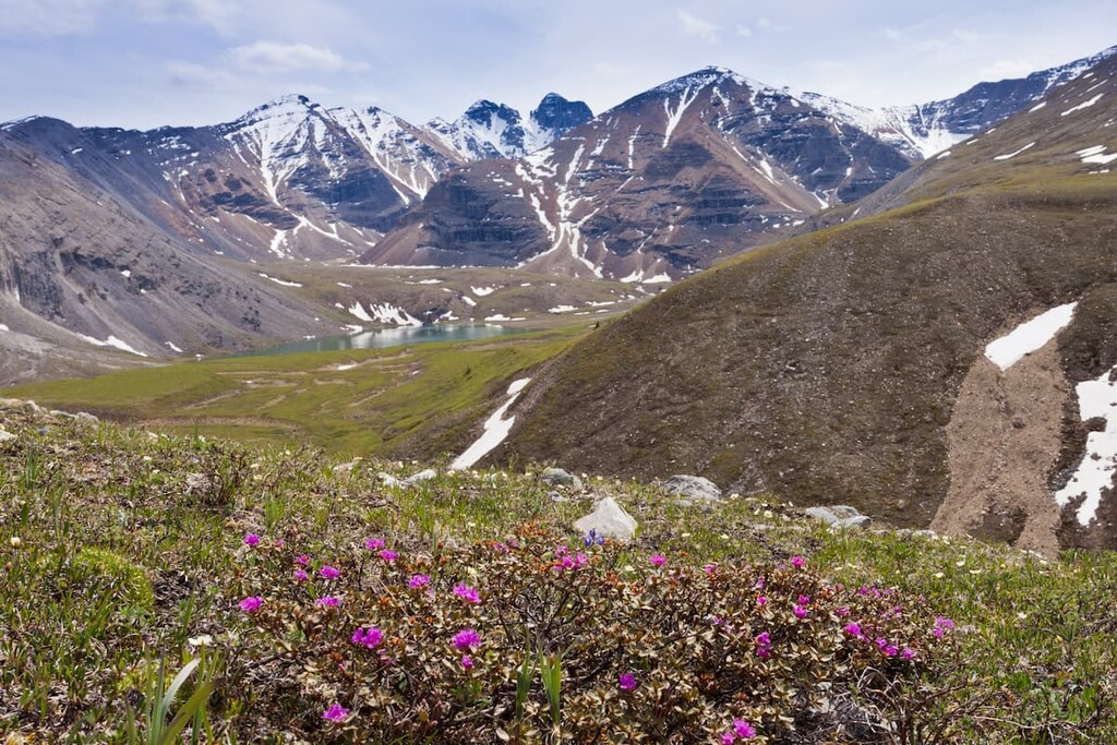 Stone Mountain Provincial Park, British Columbia