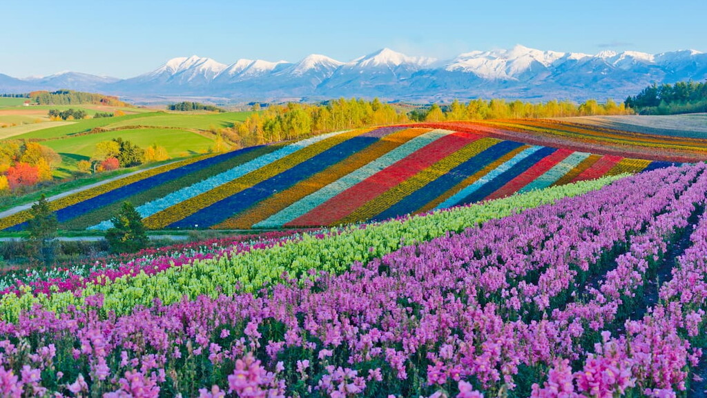 Hokkaido, Japan