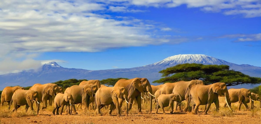 Kilimanjaro, Tanzania