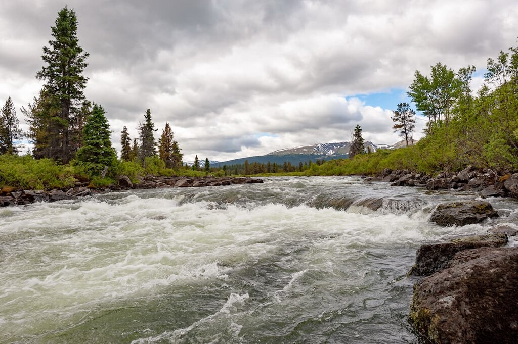 Stikine River Provincial Park. Stikine in British Columbia