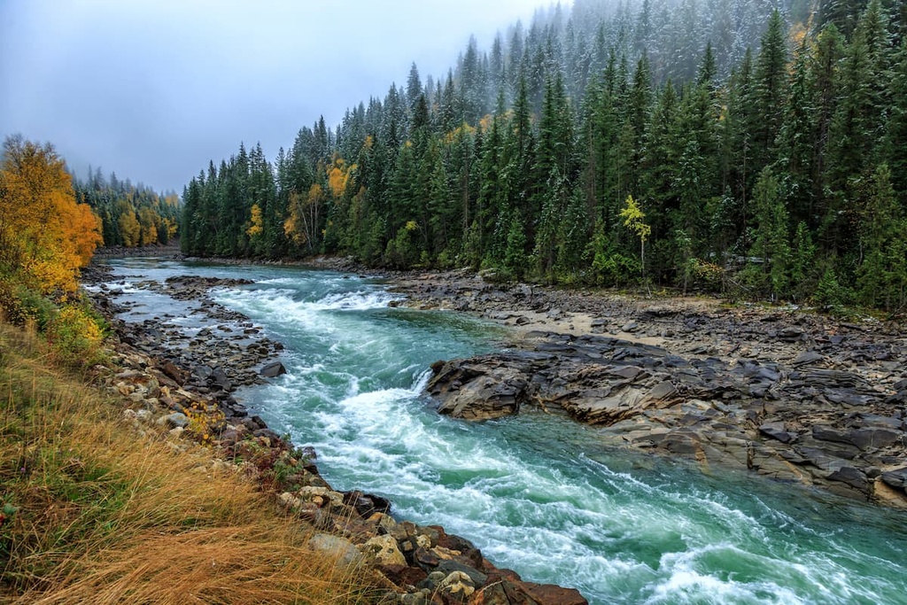Forest, Thompson-Nicola Regional District, British Columbia