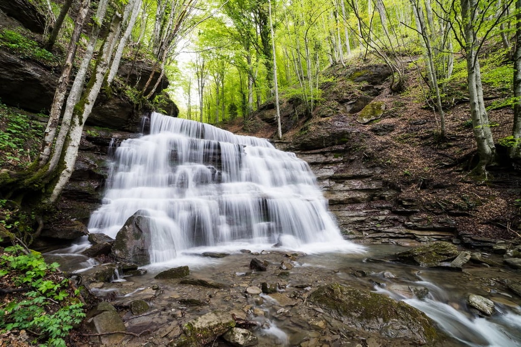 Casentino Forest National Park, Italy