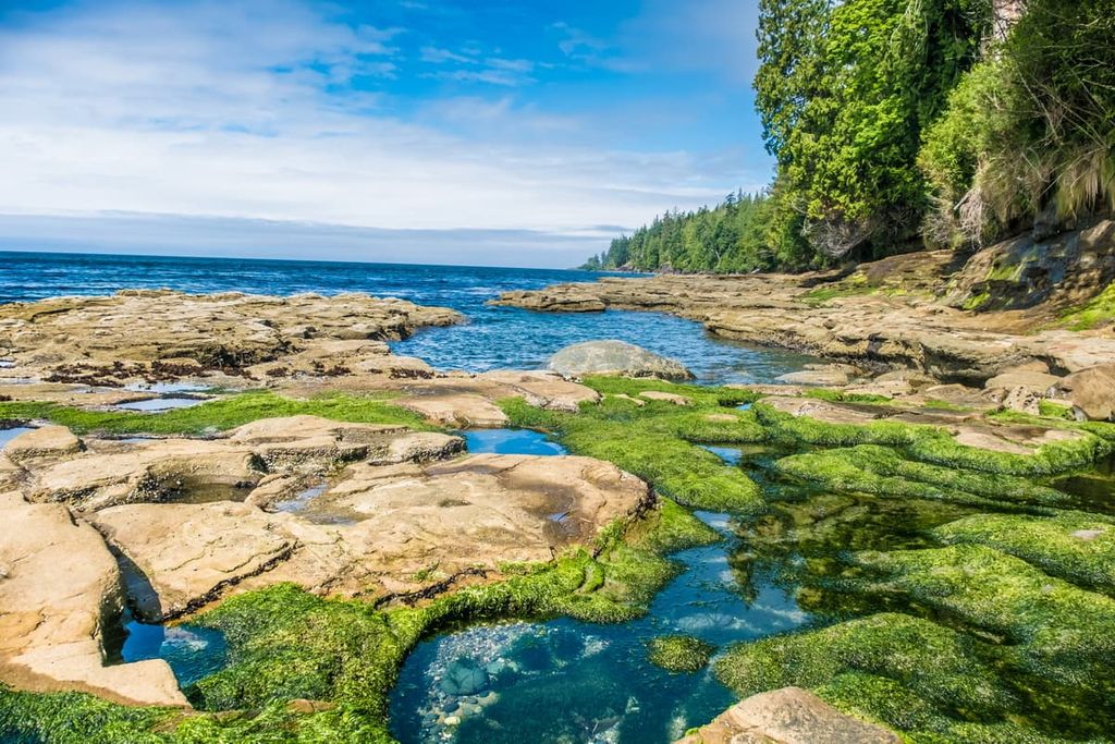 Juan de Fuca Marine, Vancouver Island Ranges, British Columbia