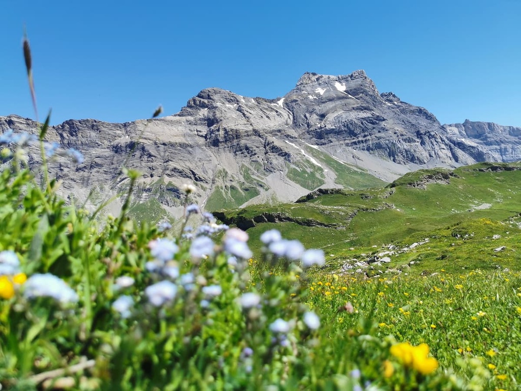 Grand Muveran, Vaud, Switzerland