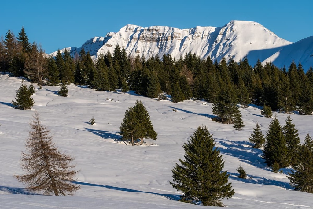 Cima Portule, Venetian Prealps, Italy