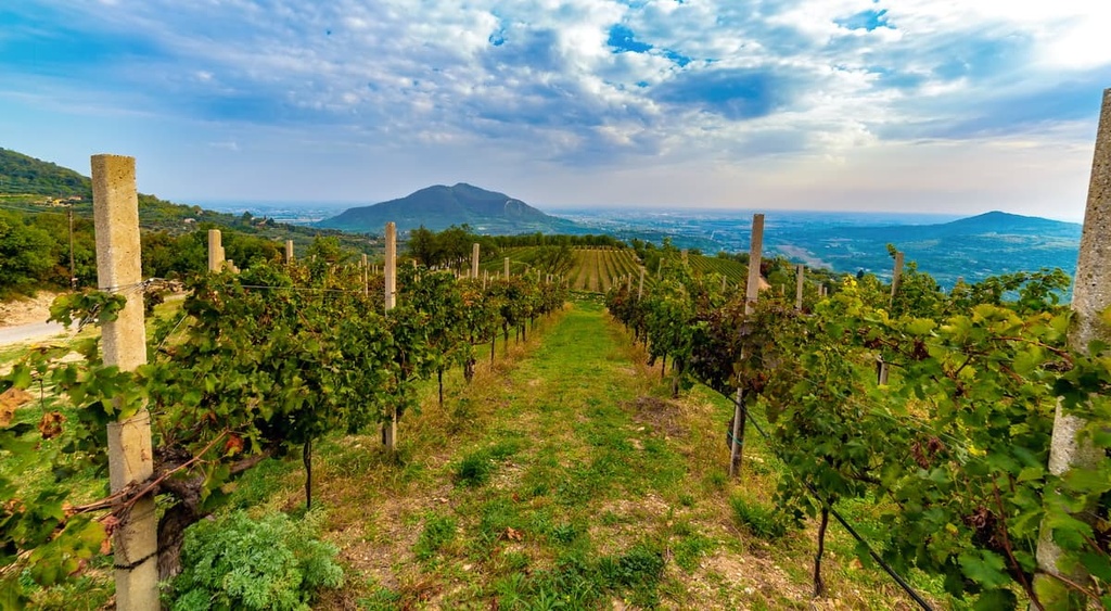 Veneto, Euganean Hills