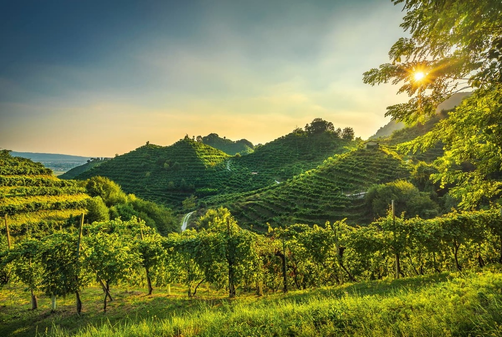 Veneto, Prosecco Hills