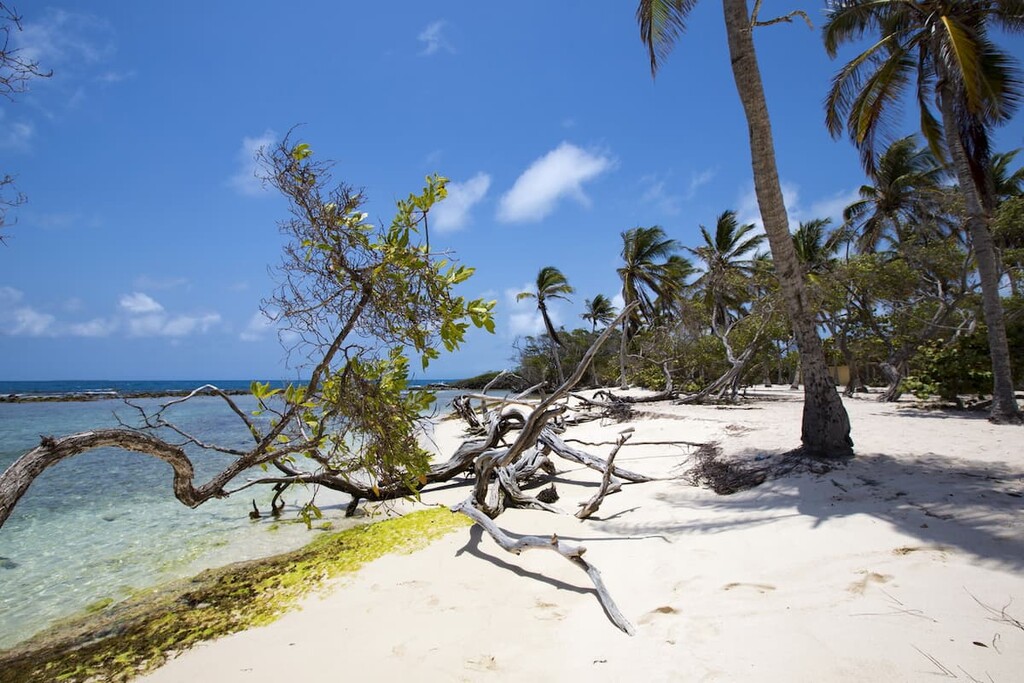 Morrocoy National Park, Venezuela