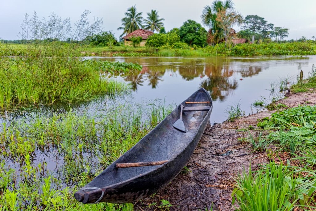 Orinoco Delta Region, Venezuela
