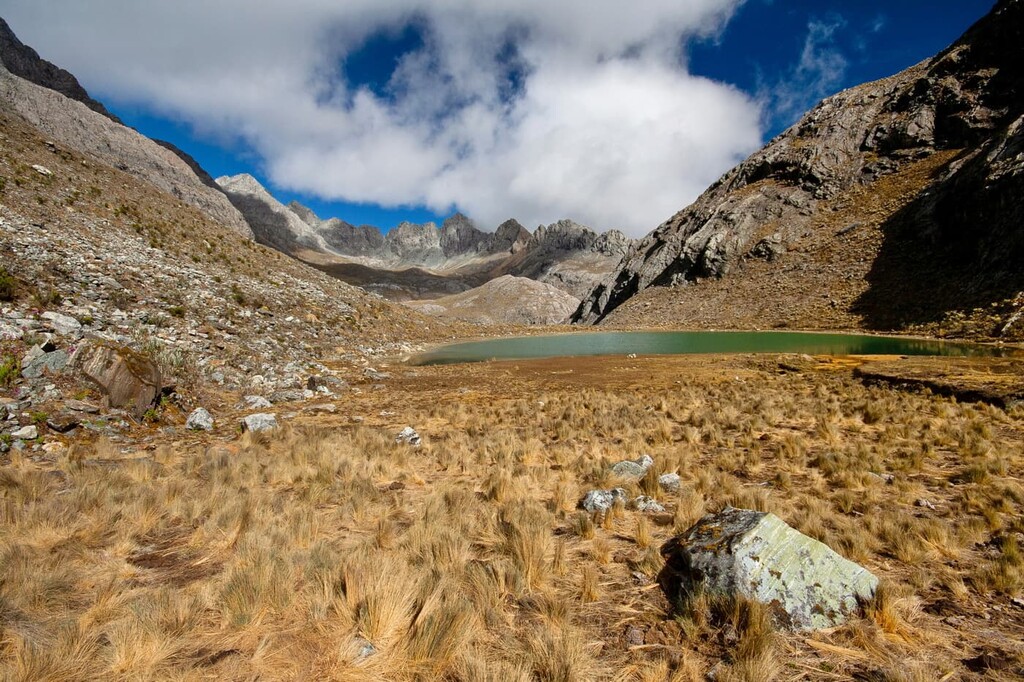 Sierra Nevada National Park, Venezuela