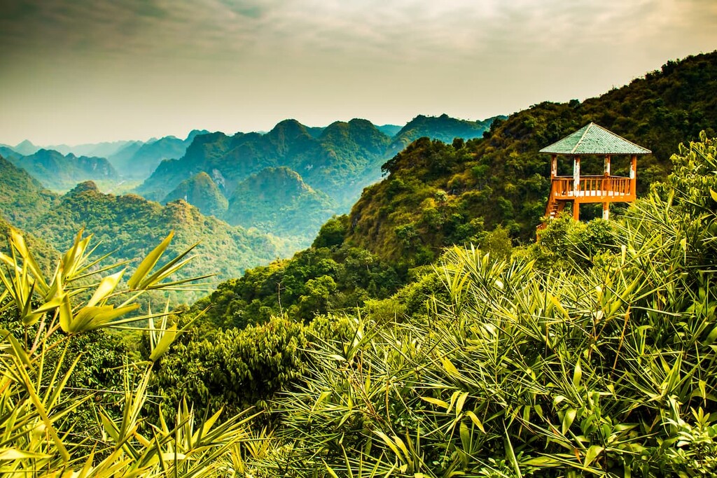 Cat Ba National Park, Vietnam