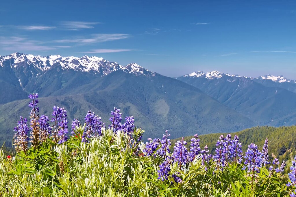 Olympic National Park, Washington